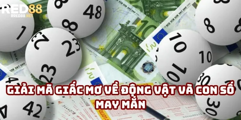 Giải mã giấc mơ về động vật và con số may mắn Giải mã giấc mơ về động vật và con số may mắn