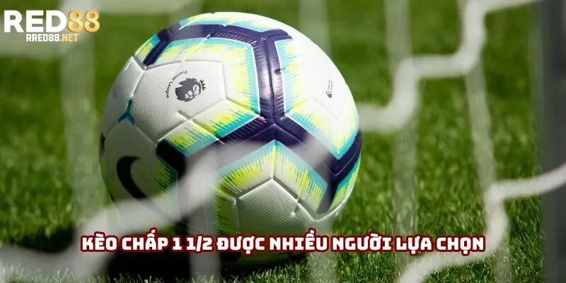 Kèo chấp 1 1/2 được nhiều người lựa chọn Kèo chấp 1 1/2 được nhiều người lựa chọn